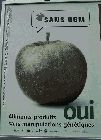 P1010011.jpg