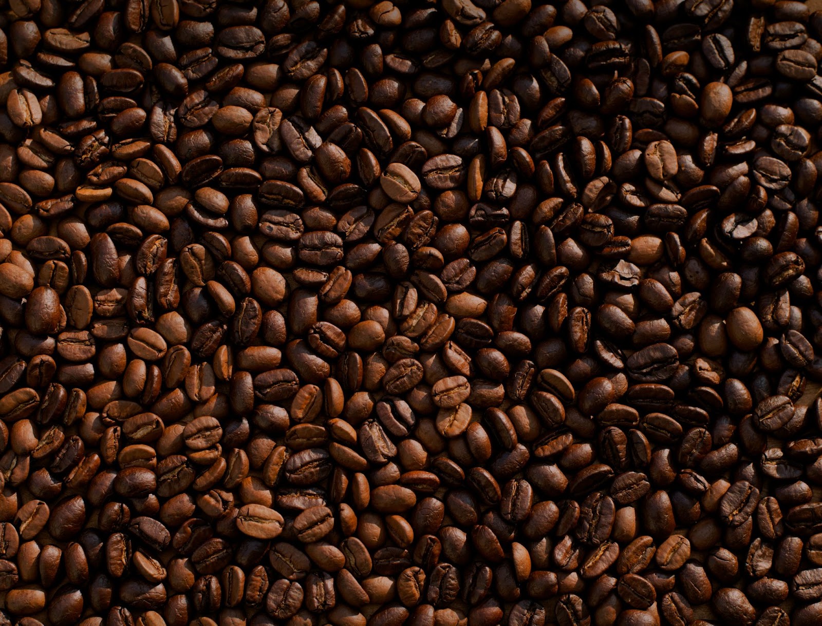 first image of the article