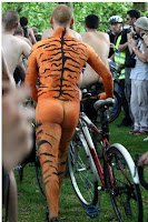 first image of the article