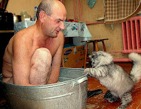 first image of the article