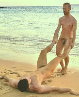 first image of the article