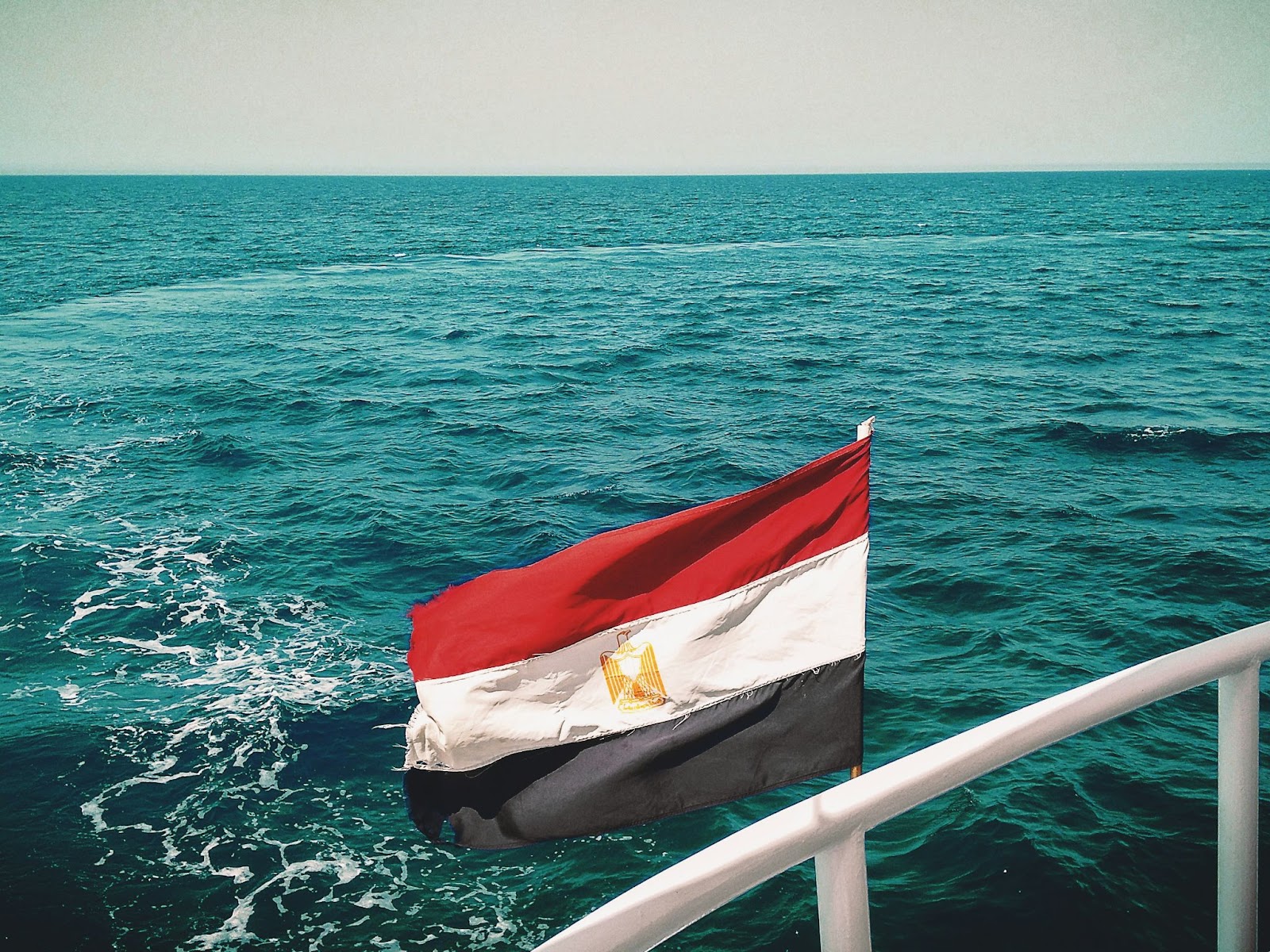 first image of the article